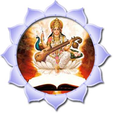 lotus sarasvati